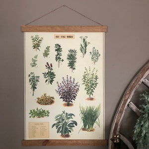 Herbs Print Herbs Poster Herb Wall Art Herb Print Herb Art Herb Garden Kitchen Decor Herb Plants Print Basil Thyme Sage Print+Hanger:LtBrown