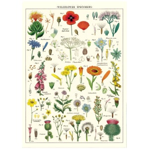 Wildflowers Print Floral Wall Art Floral Print Vintage Wildflowers Poster Wildflowers Art Wildflowers Print Flower Print Decor Poster