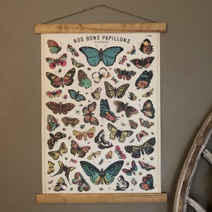 Butterfly Print | Butterfly Poster | Butterflies Print | Butterflies Poster | Butterfly Art | Butterflies Art | Butterflies Wall Art | Decor