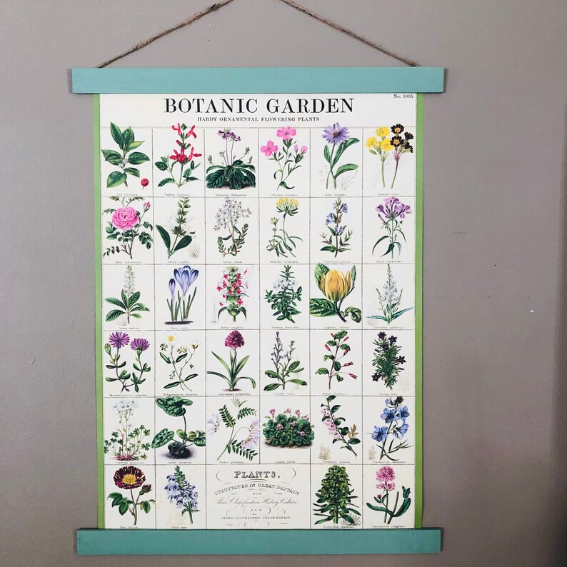 Flower Print Floral Garden Wall Art Floral Print Vintage Etsy