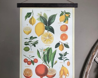 Lemon Print | Lemon Decor | Lemon Poster | Lemons Wall Art | Lemons Print | Lemons Art | Lemon Kitchen Decor | Lemons Decor | Farmhouse