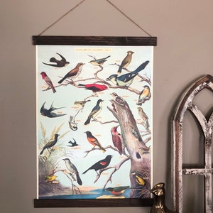 Bird Print | Bird Art | Audobon Bird Print | Audobon Print | Bird Poster | Bird Wall Art | Birding | Audobon Birds | Audobon Bird Decor