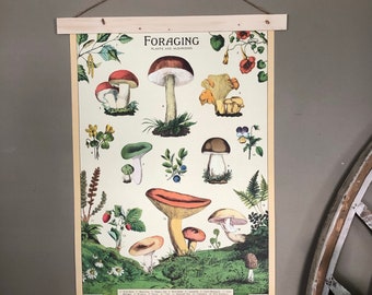 Foraging Poster | Mushroom Decor | Mushroom Art | Mushroom Print | Mushroom Gift | Mushroom Wall Art | Mushrooming | Fungi | Morels | Decor