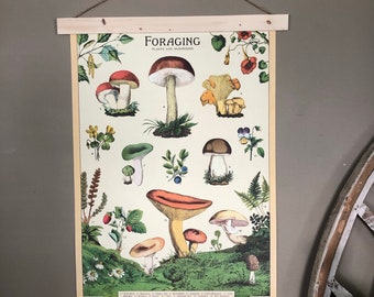 Mushroom Print | Foraging Poster | Mushroom Decor | Mushroom Art | Mushroom Gift | Mushroom Wall Art | Mushrooming | Fungi | Morels | Decor