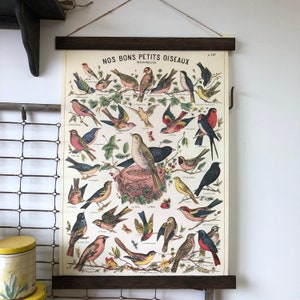 Póster de aves / Arte de aves / Impresión de aves / Arte mural de aves / Observación de aves / Decoración de aves / Arte mural de aves / Impresiones de aves / Decoración de aves para pared / Regalo
