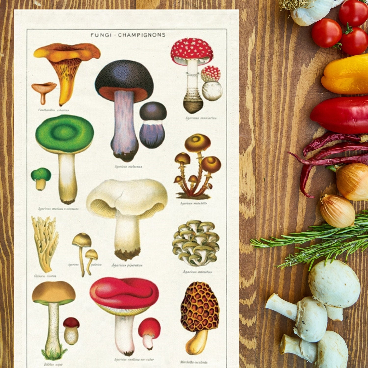 Mushroom Kitchen Towel | Mushroom Towel | Mushroom Tea Towel | Mushroom Flour Sack Towel | Mushroom Print | Fungi Towel | Gift for Cook