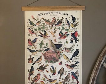 Bird Poster | Bird Art | Bird Print | Bird Wall Art | Birding | Bird Decor | Bird Wall Art | Bird Prints | Bird Decor for Wall | Gift