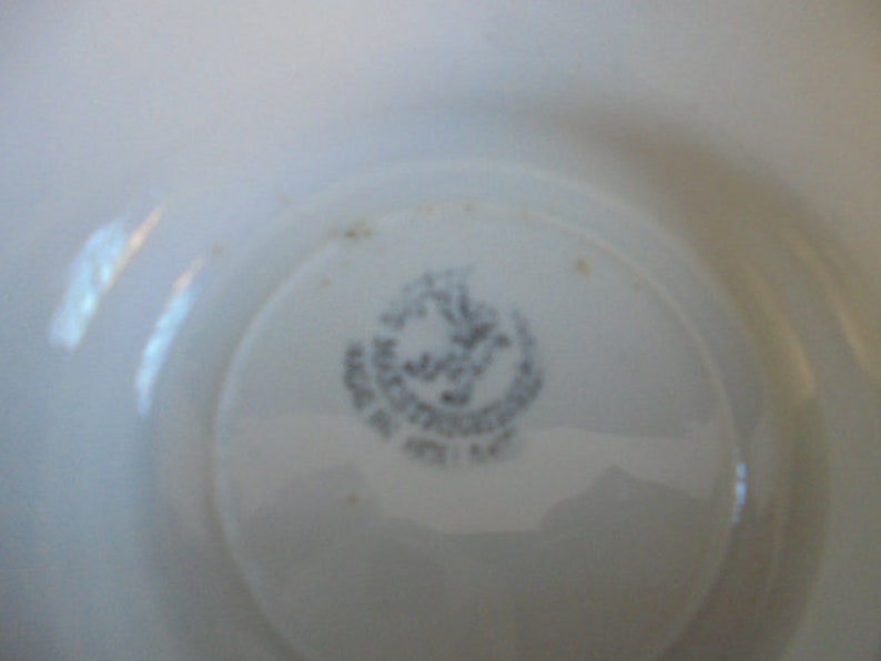 May include: Close-up of the bottom of a white ceramic saucer with a blue and white logo that reads "Made in Austria 1947".