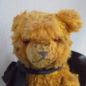 May include: A vintage teddy bear with brown fur, red eyes, and a black ribbon around its neck. The bear is sitting on a wooden chair.