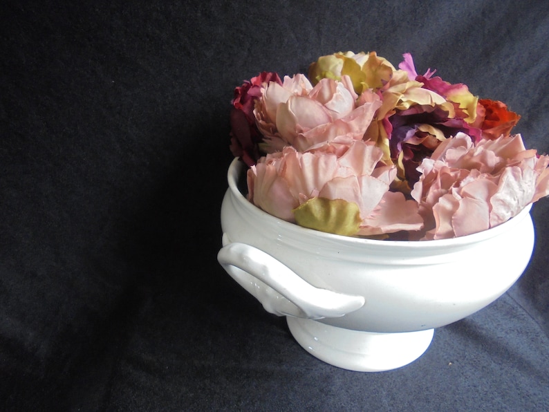 Vintage soup bowl/vintage/antique faience tureen soup bowl of societe ceramique image 3
