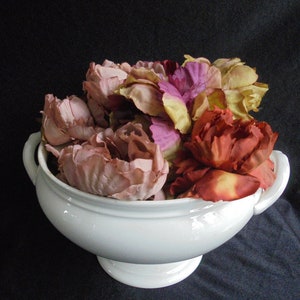 Vintage soup bowl/vintage/antique faience tureen soup bowl of societe ceramique image 1