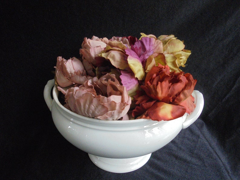 Vintage soup bowl/vintage/antique faience tureen soup bowl of societe ceramique image 1