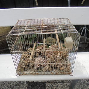 French vintage metal birdcage ceiling/Bird House/Canary cage/with  water bowl/curiosities