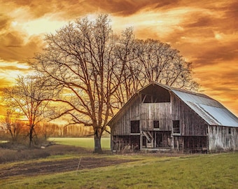 May include: A rustic wooden barn with a metal roof stands in a field, silhouetted against a vibrant sunset. Bare trees frame the barn, and the sky is filled with orange and yellow hues. The scene evokes a sense of rural tranquility.