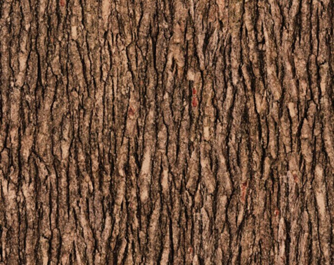 TREE BARK Cotton Fabric, Qt Fabrics, Quilting Treasures, 100 Cotton