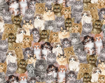 FQ Packed REALISTISCHE KATTEN Katoenstof van 18 x 21 inch, Timeless Treasures-stof, kattenstof, kittenstof, fat quarter, kat-CD2060!