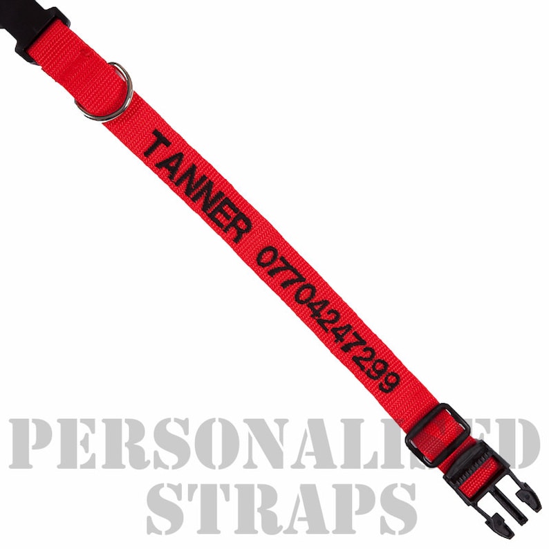 Personalised Dog Collar Etsy UK