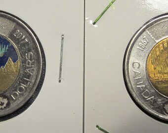 Canada Alberta Wild Rose Coat of Arms 1905 Entered Confederation Medal