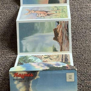 Vintage Souvenir Postkarte Ordner Yellowstone Nationalpark Haynes