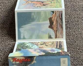 Vintage Souvenir Postkarte Ordner Yellowstone Nationalpark Haynes