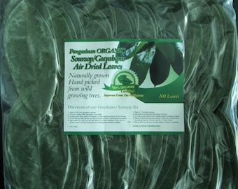 100pcs. air dried organic Tea leaves  soursop, graviola, guyabano, guanabana, annona muricata  large leaves Newly Harvested April 2026