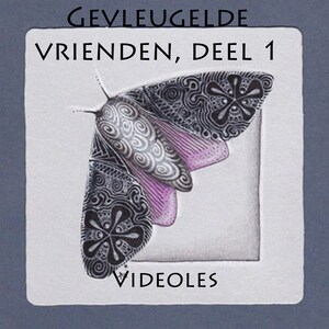 Puede incluir: Una ilustración en blanco y negro de una polilla con acentos rosados. El texto "GEVLEUGELDE VRINDEN, DEEL 1 VIDEOOLES" está debajo de la polilla.