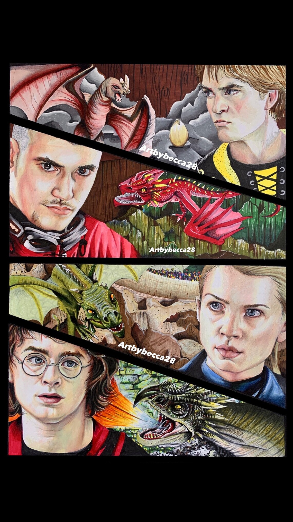 Goblet of Fire Champions A3 Print signed Etsy