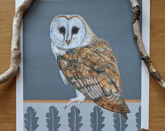 Giclée Prints - Barn Owl and Tawny Owl