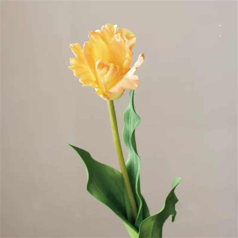 Beautiful Artificial Tulip Real Touch Tulip Flower Etsy