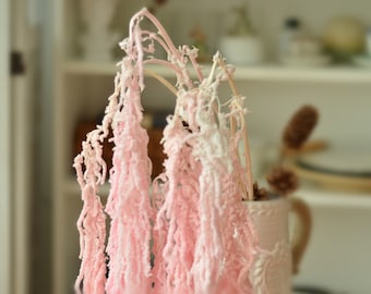 branches Hanging amaranthus pink/beige color, dried and preserved flower, amaranthe preserve, wall decoration, home decor Length
