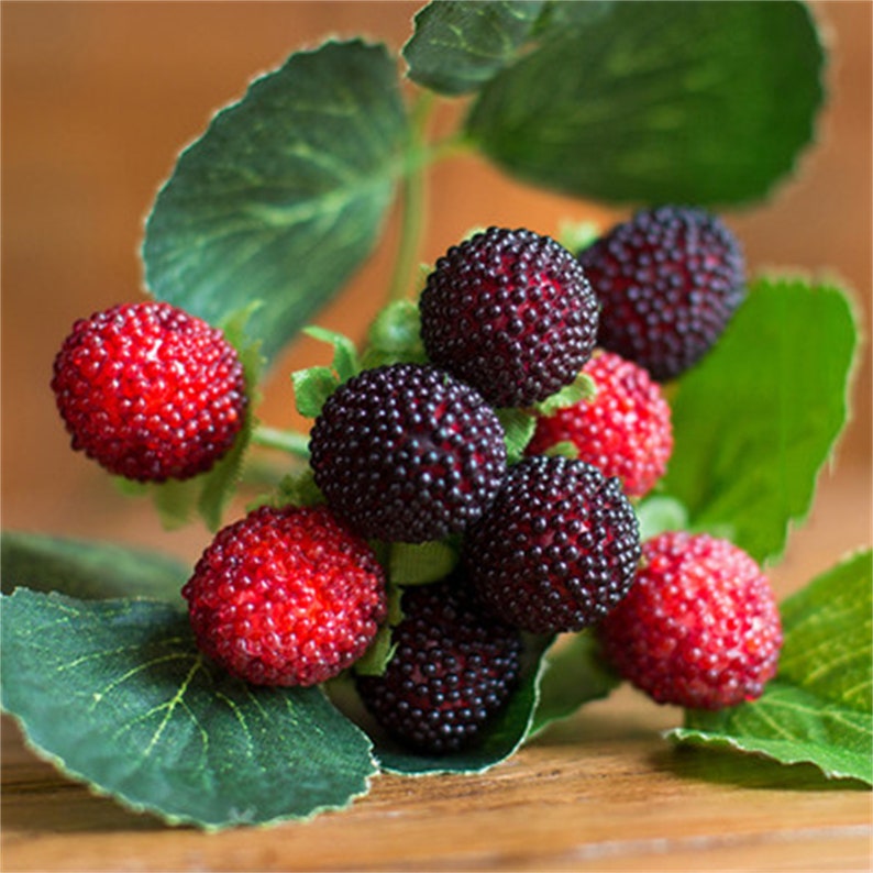 Artificial Raspberry Artificial Berry Faux Berry Faux - Etsy