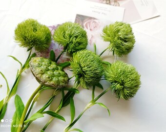 High quality  Artifical Green Hair Ball, Green Dianthus, Lotus, Faux flowers, Home Decor