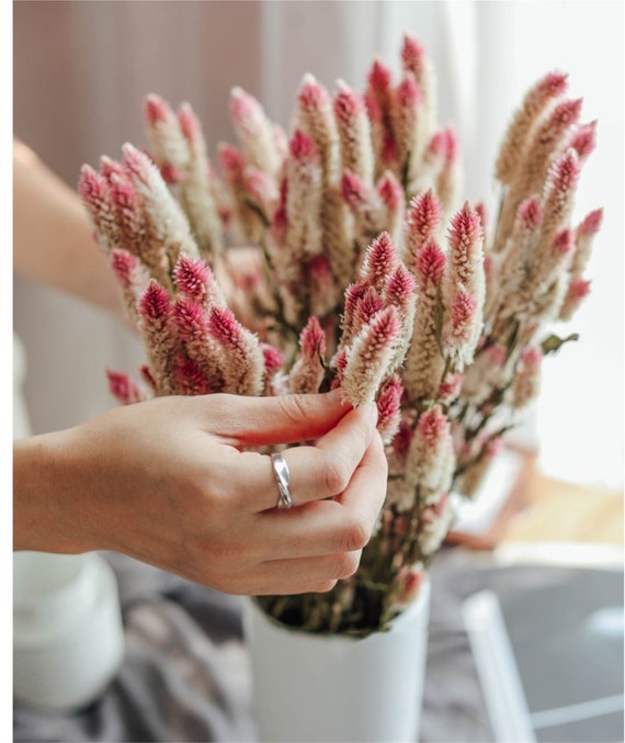 Flores de plantas secas naturales pequeñas flores secas frescas mesa de  ramo que establece un traje suave minimalista, fénix japonés de múltiples  cabezas rosa -  México