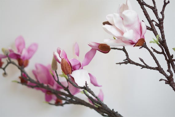 Künstlicher Magnolienzweig, Magnolienblütenornamente, florale Kunst, klassisches Tischgeschenk