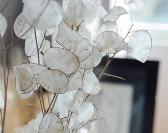 Silver fan leaf dried flower true flower bouquet high-end window decoration scene layout sample room furnishings