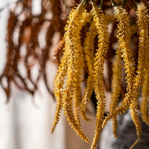 Artifical flowers, hanging amaranthus, cascading dried flowers, cascading wedding bouquet