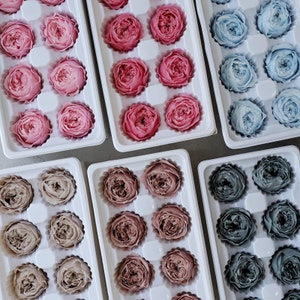 L 4-5cm(1.57in-1.96in) Colorful dried flower Real Preserved flower David Austin Rose Garden Roses Preserved Rose Heads wedding 8 pcs