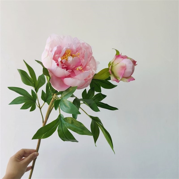 Peony Silk Flower Etsy
