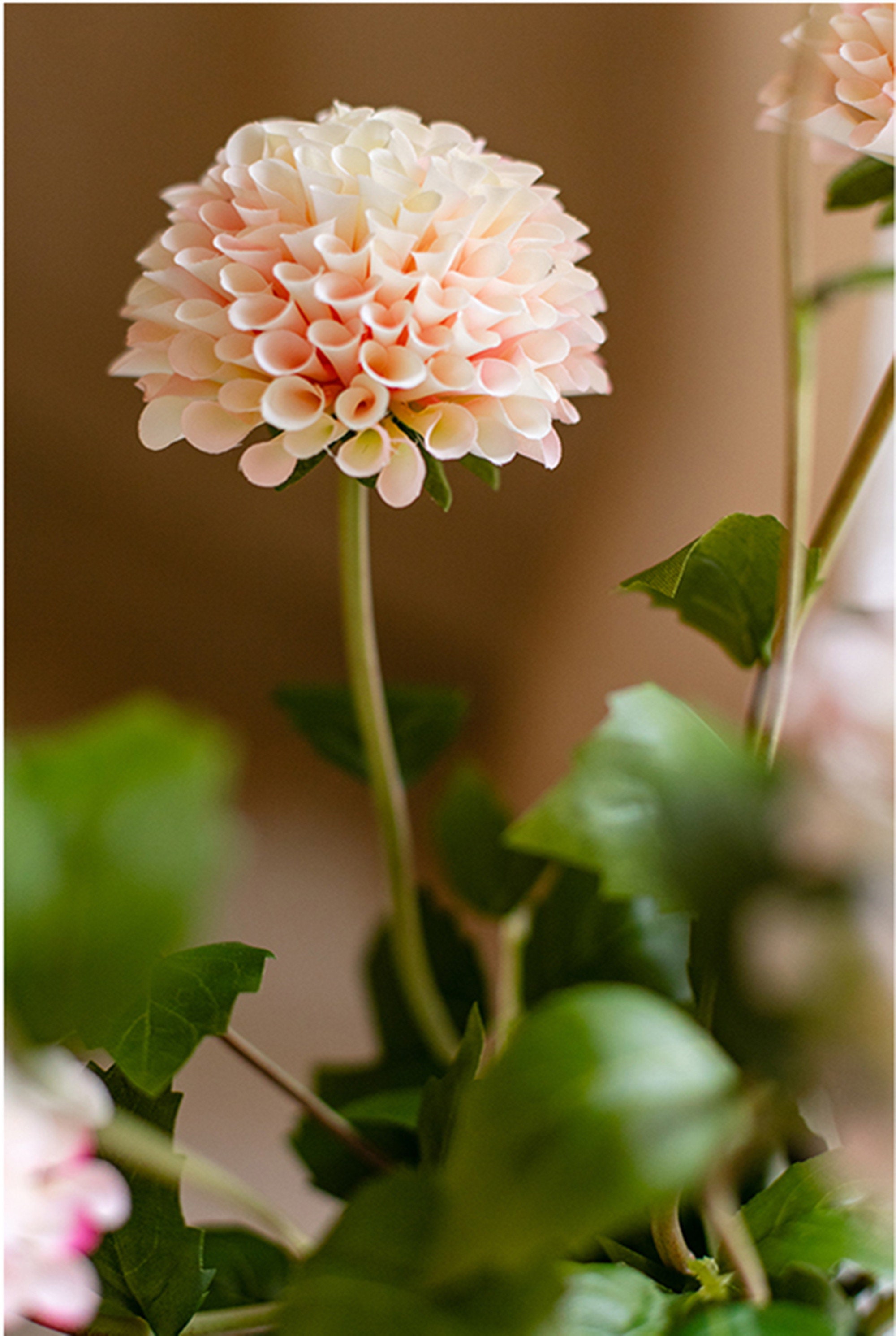 10 Stück Künstliche Dahlien Tiefrot - Realistische Seidenblumen Für Wohnraumdekoration