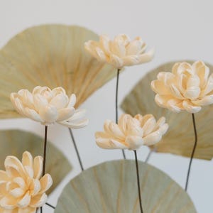 Fiore di loto essiccato fiore rosa essiccato decorazione tavolo da tè ornamenti fiore Zen sala da tè creativo fiori artificiali