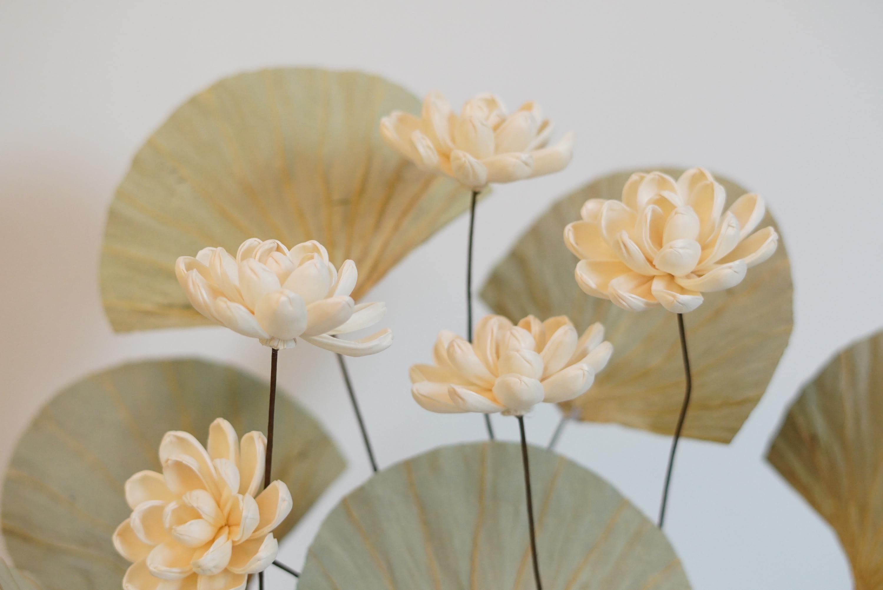 balacoo 6pcs Artificial Lotus Artificial Plants Artificial Outdoor Plants Green Plants Water Lily Pad Ornament Realistic Water Lily Pads Floating F Artificial Lotus - Etsy UK