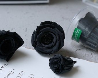 Fleur séchée noire Véritable fleur stabilisée Roses de jardin Roses stabilisées Têtes de roses de mariage Anniversaire 1 pièce