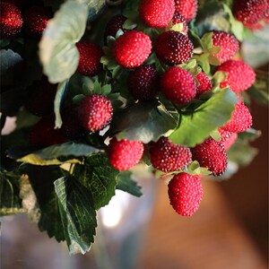 Artificial Raspberry Artificial Berry Faux Berry Faux - Etsy