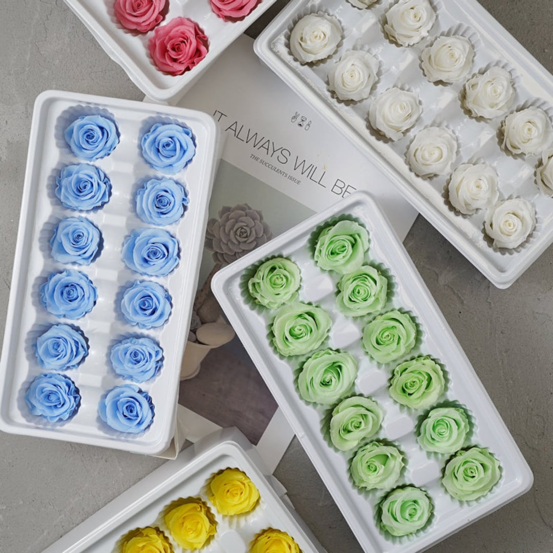 M 3-4cm1.18in-1.57in Colorful Dried Flower Real Preserved Flower Rose ...