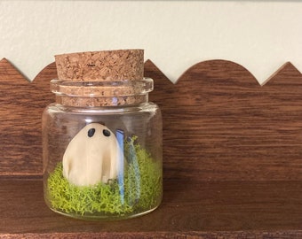 Pet Ghost in a Jar Bottles - Ghost in a Jar - Glow In The Dark Ghost - Ghost In A Bottle