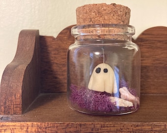 Pet Ghost in a Jar Bottles - Ghost in a Jar - Glow In The Dark Ghost - Ghost In A Bottle