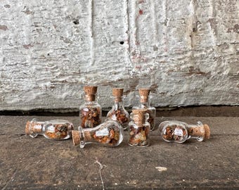 Mini Witch Bottle – Handmade Protection Amulet with Herbs & Resins, Travel Talisman, or Witchy Gift