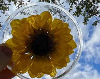 Getrocknete Sonnenblume Untersetzer (Paar), Sonnenblume Geschenk, Wohnzimmer Dekor, Blumen Untersetzer