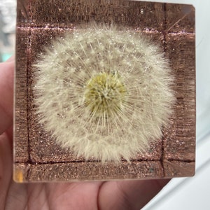 Dandelion Wish Resin Paperweight, Personalized Graduation Gift,Dandelion Wishes, Real Dandelion, Dandelion Decor, Gift for Mom