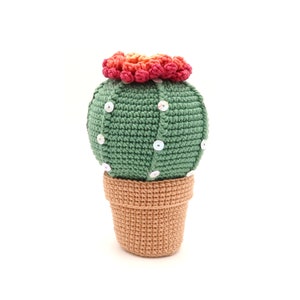 Cactus crochet pattern